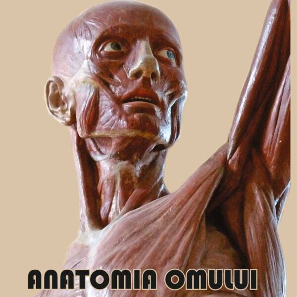 Anatomia Omului