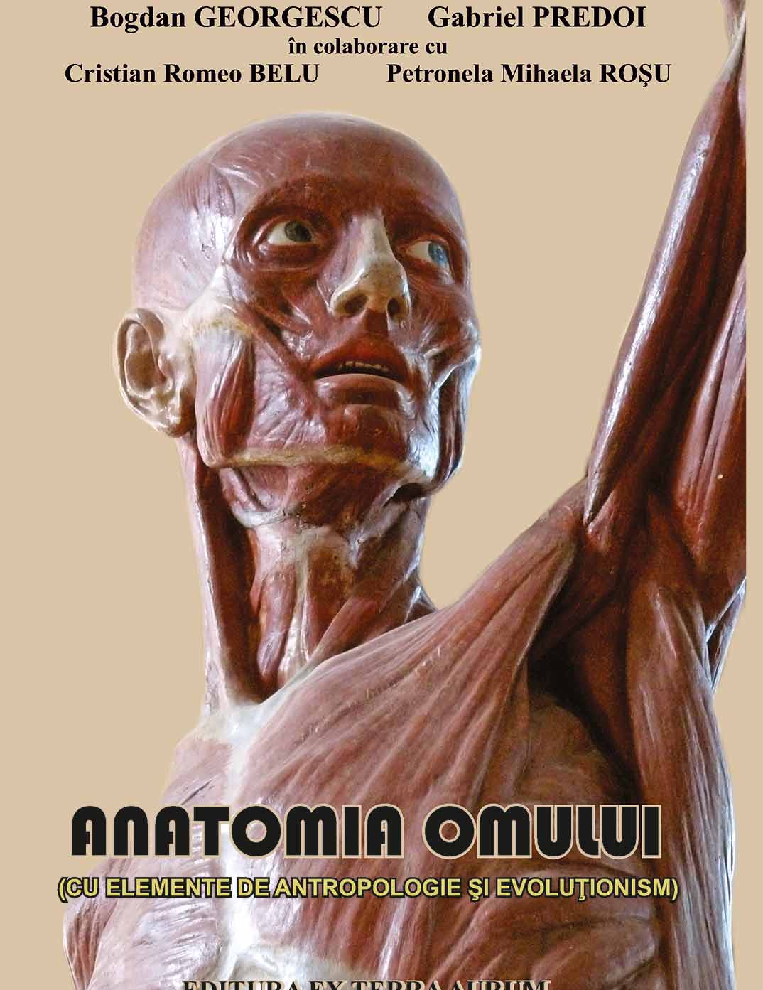 Anatomia Omului