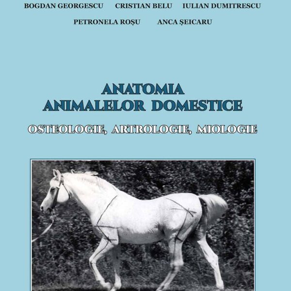 Anatomia Animalelor Domestice